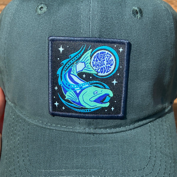 Protect What You Love Dad Hat